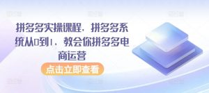拼多多实操课程，拼多多系统从0到1，教会你拼多多电商运营-木石资源网