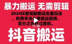 2024最新抖音搬运技术,抖音短剧视频去重,手法搬运,利用工具去重,达到秒过原创的效果【揭秘】-木石资源网
