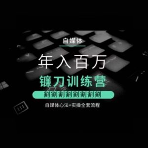 自媒体年入百万镰刀训练营,割割割割割割割割,自媒体心法+实操全套流程-木石资源网
