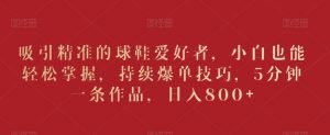 吸引精准的球鞋爱好者,小白也能轻松掌握,持续爆单技巧,5分钟一条作品,日入800+【揭秘】-木石资源网