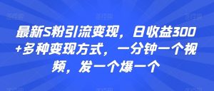 最新S粉引流变现,日收益300+多种变现方式,一分钟一个视频,发一个爆一个【揭秘】-木石资源网