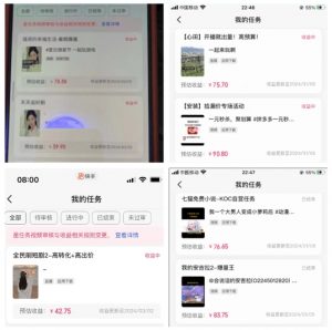 2024年3月最新，快手磁力聚星全流程实操教学，8台手机日均收益稳定100~200元【揭秘】-木石资源网