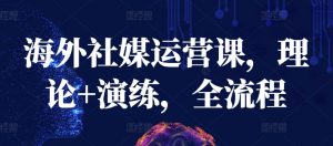 海外社媒运营课，理论+演练，全流程-木石资源网