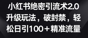 小红书绝密引流术2.0升级玩法，破封禁，轻松日引100+精准流量【揭秘】-木石资源网