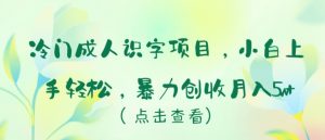 冷门成人识字项目,小白上手轻松,暴力创收月入5w+【揭秘】-木石资源网