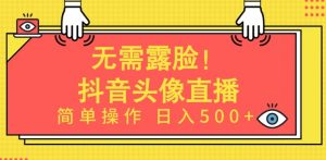 无需露脸,Ai头像直播项目,简单操作日入500+【揭秘】-木石资源网