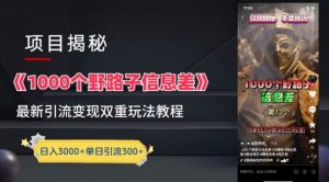 一千个野路子信息差最新玩法教程-变现+引流的玩法具体拆解【揭秘】-木石资源网