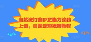 自然流打造IP正确方法线上课,自然流短视频教程-木石资源网