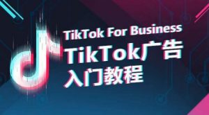 TikTok广告入门教程，从0到1掌握TikTok投放的全流程-木石资源网