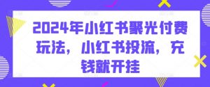 2024年小红书聚光付费玩法,小红书投流,充钱就开挂-木石资源网