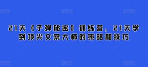 21天《子弹秘密》训练营,21天学到顶尖文案大师的策略和技巧-木石资源网