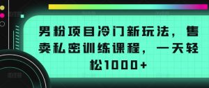 男粉项目冷门新玩法,售卖私密训练课程,一天轻松1000+【揭秘】-木石资源网