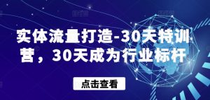 实体流量打造-30天特训营,30天成为行业标杆-木石资源网