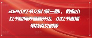 2024小红书文创(第三期),教你小红书如何养号和开店,小红书直播带货卖文创等-木石资源网