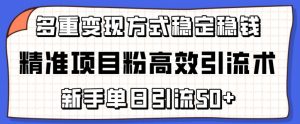 精准项目粉高效引流术,新手单日引流50+,多重变现方式稳定赚钱【揭秘】-木石资源网