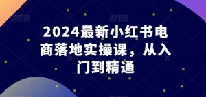 2024最新小红书电商落地实操课,从入门到精通-木石资源网