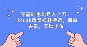 零基础也能月入上w,TikTok风景视频搬运,简单去重,无脑上传【揭秘】-木石资源网