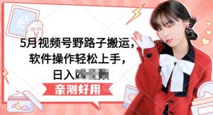 5月视频号野路子搬运，软件操作轻松上手，日入三位数【揭秘】-木石资源网