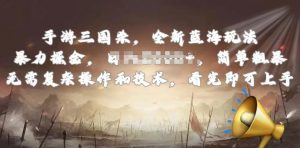 手游三国杀最新蓝海玩法,简单粗暴,无需复杂的操作和技术,看完即可上手【揭秘】-木石资源网