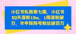小红书私教第七期,小红书90天涨粉18w,1周涨粉破万,半年矩阵号粉丝破百万-木石资源网