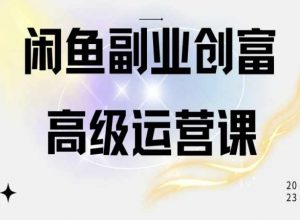 闲鱼电商运营高级课程，一部手机学会闲鱼开店赚钱-木石资源网