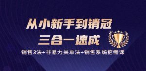 从小新手到销冠 三合一速成：销售3法+非暴力关单法+销售系统挖需课 (27节)-木石资源网