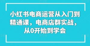 小红书电商运营从入门到精通课，电商店群实战，从0开始到学会-木石资源网