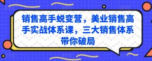 销售高手蜕变营,美业销售高手实战体系课,三大销售体系带你破局-木石资源网