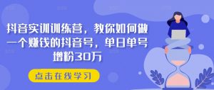 抖音实训训练营,教你如何做一个赚钱的抖音号,单日单号增粉30万-木石资源网