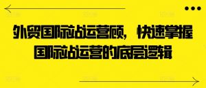 外贸国际站运营顾问，快速掌握国际站运营的底层逻辑-木石资源网