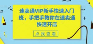 速卖通VIP新手快速入门班，手把手教你在速卖通快速开店-木石资源网