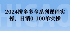 2024拼多多全系列课程实操，日销0-100单实操【必看】-木石资源网