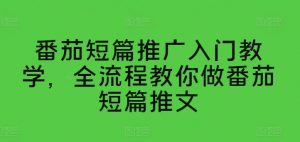 番茄短篇推广入门教学，全流程教你做番茄短篇推文-木石资源网