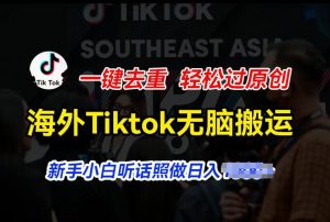 海外Tiktok短视频无脑搬运，一键去重轻松过原创，新手小白听话照做日入几张【揭秘】-木石资源网