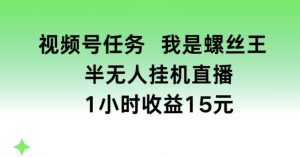 视频号任务，我是螺丝王， 半无人挂机1小时收益15元【揭秘】-木石资源网