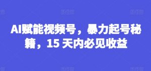 AI赋能视频号，暴力起号秘籍，15 天内必见收益【揭秘】-木石资源网