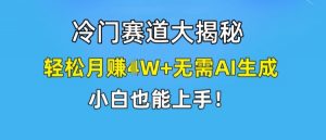 冷门赛道大揭秘,轻松月赚1W+无需AI生成,小白也能上手【揭秘】-木石资源网