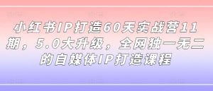 小红书IP打造60天实战营11期，5.0大升级，全网独一无二的自媒体IP打造课程-木石资源网