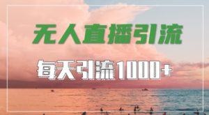 抖音快手视频号全平台通用，无人直播引流法，超暴力引流1000+高质量精准创业粉【揭秘】-木石资源网
