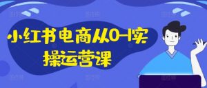 小红书电商从0-1实操运营课,小红书手机实操小红书/IP和私域课/小红书电商电脑实操板块等-木石资源网