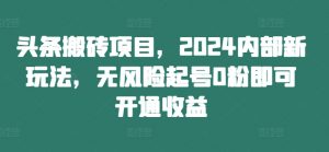 头条搬砖项目,2024内部新玩法,无风险起号0粉即可开通收益-木石资源网