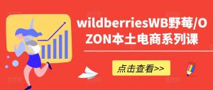 wildberriesWB野莓/OZON本土电商系列课,掌握WB产品优化,出单技巧和订单处理等-木石资源网
