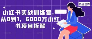 小红书实战训练营,从0到1,6000万小红书项目拆解-木石资源网
