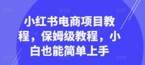 小红书电商项目教程,保姆级教程,小白也能简单上手-木石资源网