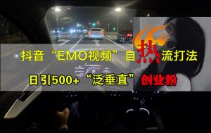 抖音EMO视频自热打法,日引500+“泛垂直”创业粉-木石资源网