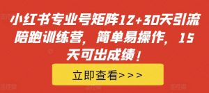 小红书专业号矩阵12+30天引流陪跑训练营,简单易操作,15天可出成绩!-木石资源网