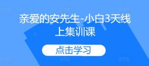 亲爱的安先生-小白3天线上集训课-木石资源网