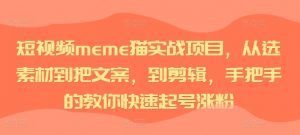短视频meme猫实战项目,从选素材到把文案,到剪辑,手把手的教你快速起号涨粉-木石资源网