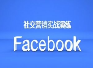 Facebook社交营销实战演练,外贸人绝对不能错过的营销推广平台-木石资源网