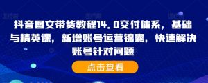 抖音图文带货教程14.0交付体系,基础与精英课,新增账号运营锦囊,快速解决账号针对问题-木石资源网